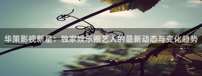 神马影院达达兔yd88