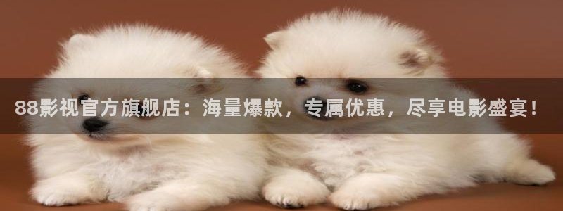 神马影视理论片大全