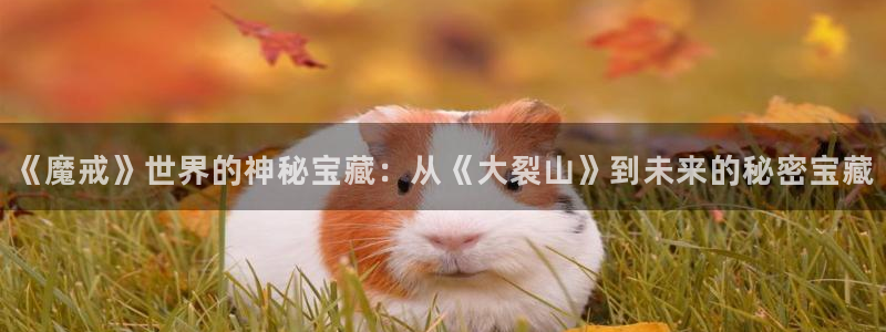 神马我不卡影院手机在线观看