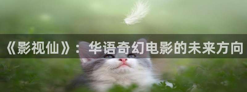 特片网神马电影