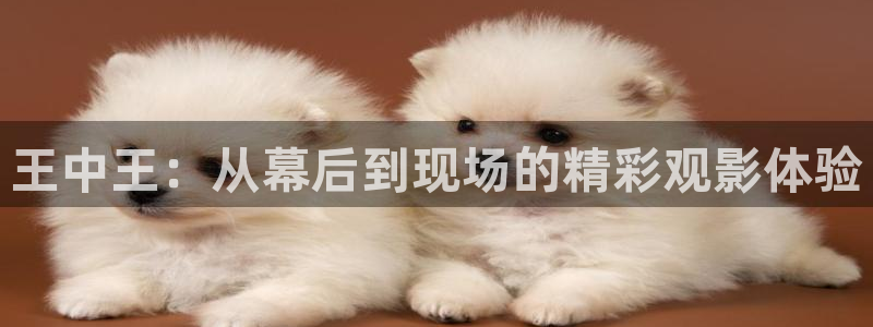 原来的神马电影快播