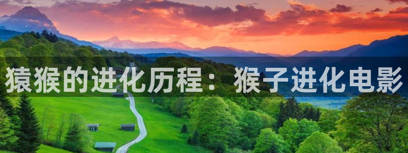 伦理神马秋霞
