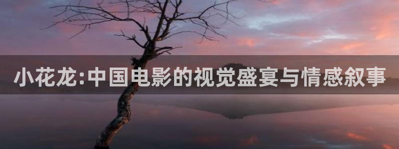 snh48大片mv神马电影天堂