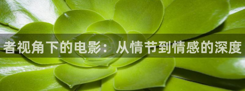 秋霞网神马影院