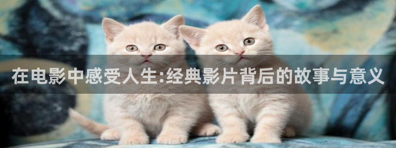 神马影院伦理大全
