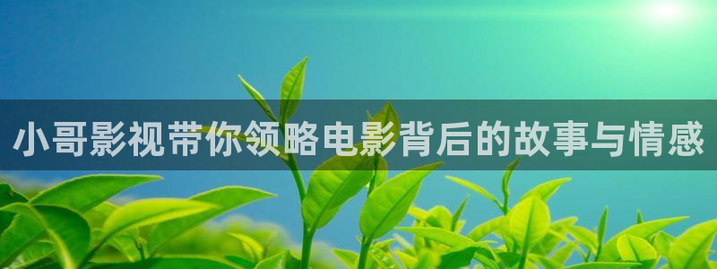 一路向西 神马电影