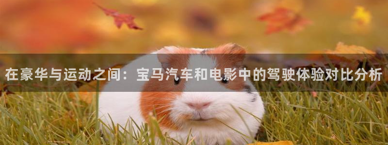 皆月神马影院