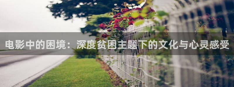 年轻的姐夫神马影院