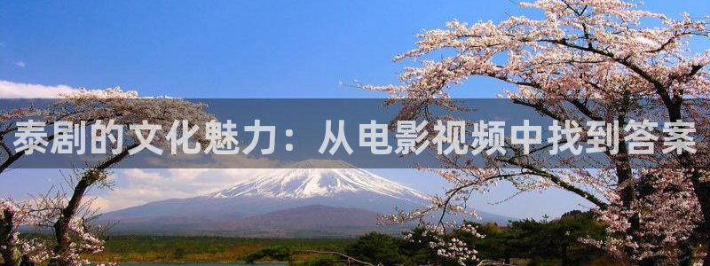 神马影院第九在线