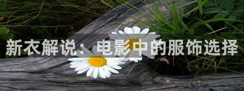 琪琪电影院神马电影