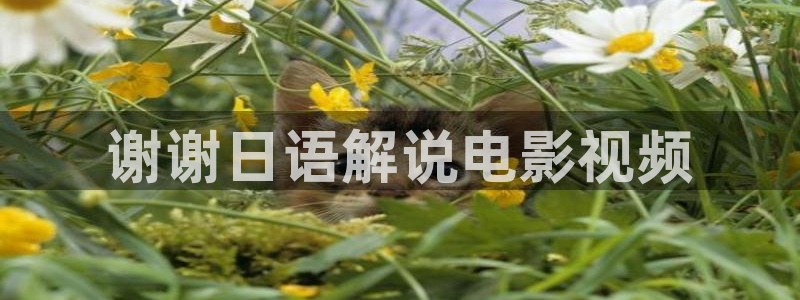 神马伦理不限制