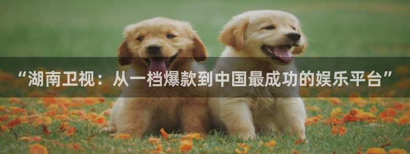 神马电影手机午夜