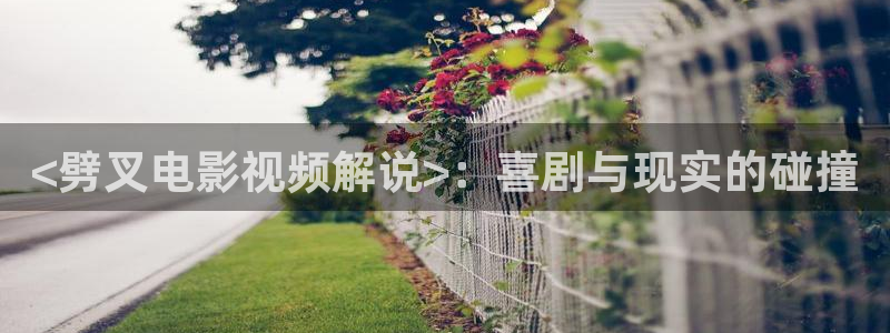 神马电影伦理在线