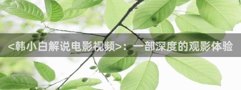 神马影院手机最新电影